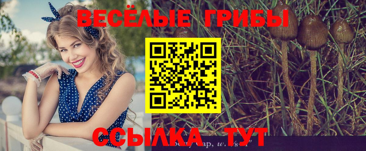 Псилоцибиновые грибы прущие грибы Самара